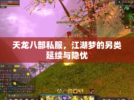 天龙八部私服，江湖梦的另类延续与隐忧