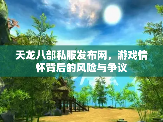 天龙八部私服发布网，游戏情怀背后的风险与争议