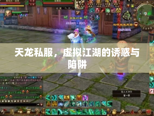 天龙私服，虚拟江湖的诱惑与陷阱