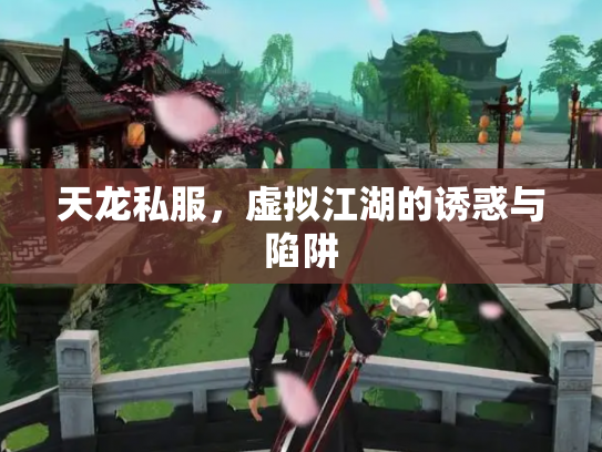 天龙私服，虚拟江湖的诱惑与陷阱