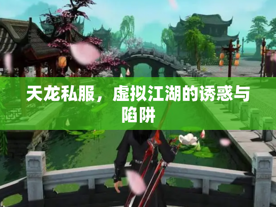 天龙私服，虚拟江湖的诱惑与陷阱