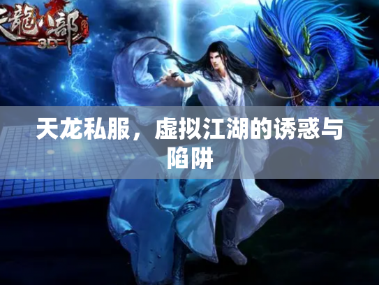 天龙私服，虚拟江湖的诱惑与陷阱
