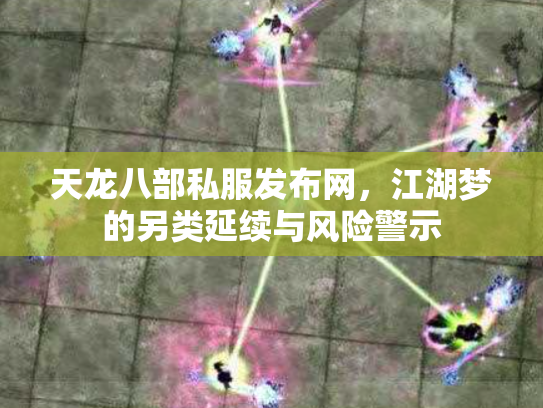 天龙八部私服发布网，江湖梦的另类延续与风险警示