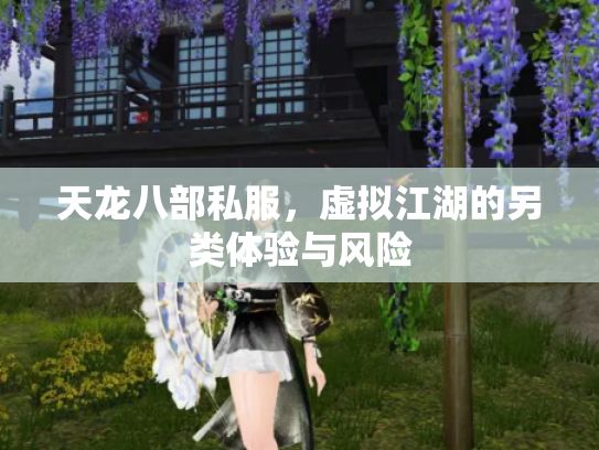 天龙八部私服，虚拟江湖的另类体验与风险