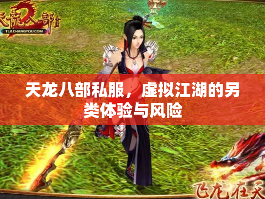天龙八部私服，虚拟江湖的另类体验与风险