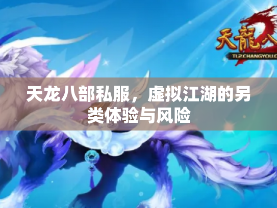 天龙八部私服，虚拟江湖的另类体验与风险