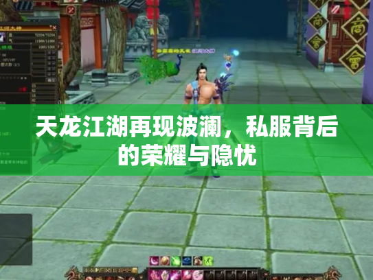天龙江湖再现波澜，私服背后的荣耀与隐忧