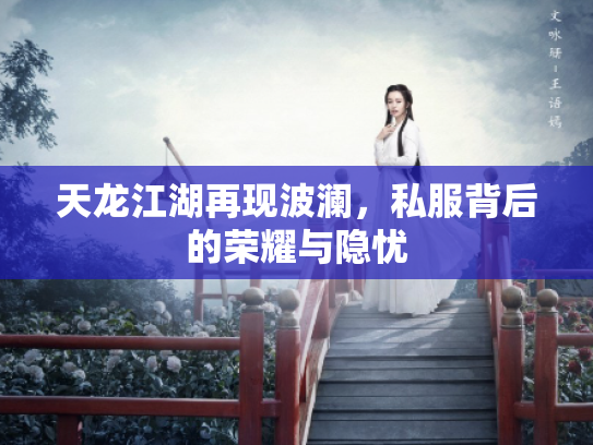 天龙江湖再现波澜，私服背后的荣耀与隐忧