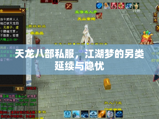 天龙八部私服，江湖梦的另类延续与隐忧
