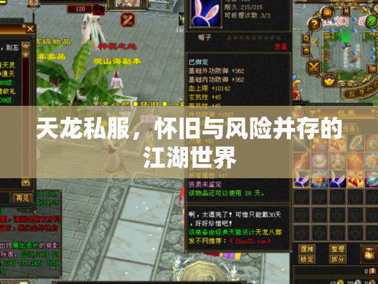 天龙私服，怀旧与风险并存的江湖世界