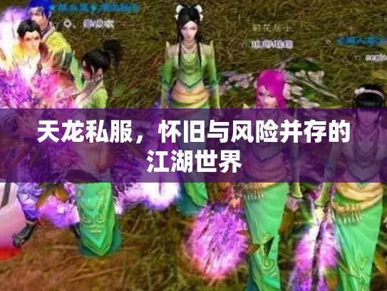 天龙私服，怀旧与风险并存的江湖世界