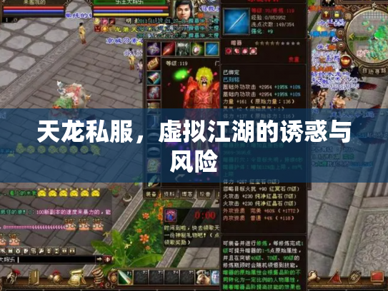 天龙私服，虚拟江湖的诱惑与风险