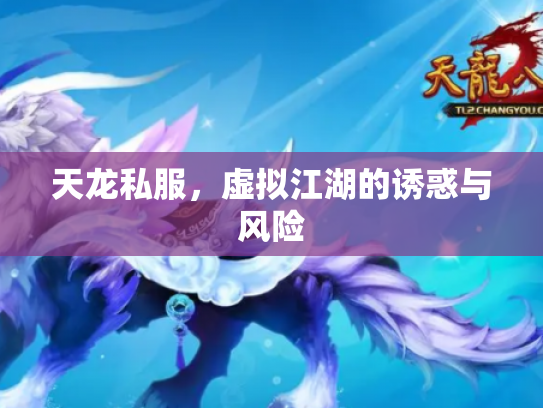 天龙私服，虚拟江湖的诱惑与风险
