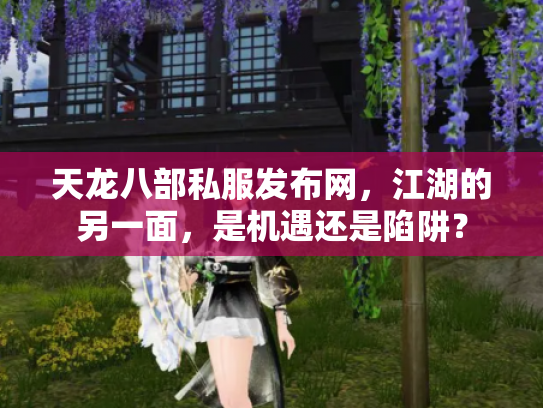 天龙八部私服发布网，江湖的另一面，是机遇还是陷阱？