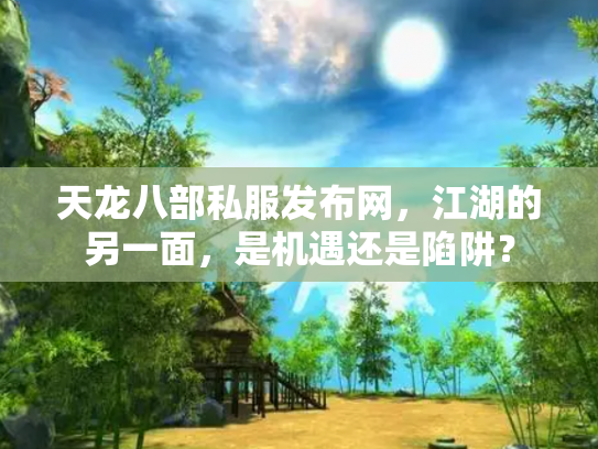 天龙八部私服发布网，江湖的另一面，是机遇还是陷阱？