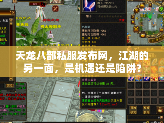 天龙八部私服发布网，江湖的另一面，是机遇还是陷阱？