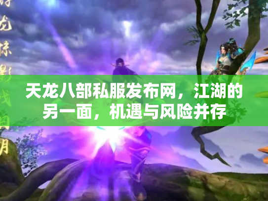 天龙八部私服发布网，江湖的另一面，机遇与风险并存