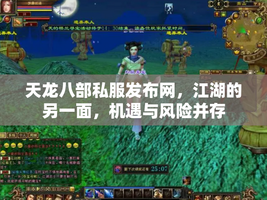 天龙八部私服发布网，江湖的另一面，机遇与风险并存
