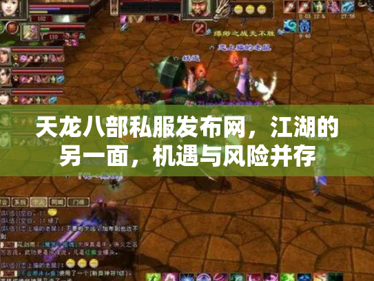天龙八部私服发布网，江湖的另一面，机遇与风险并存
