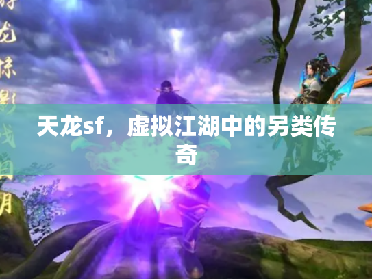 天龙sf，虚拟江湖中的另类传奇