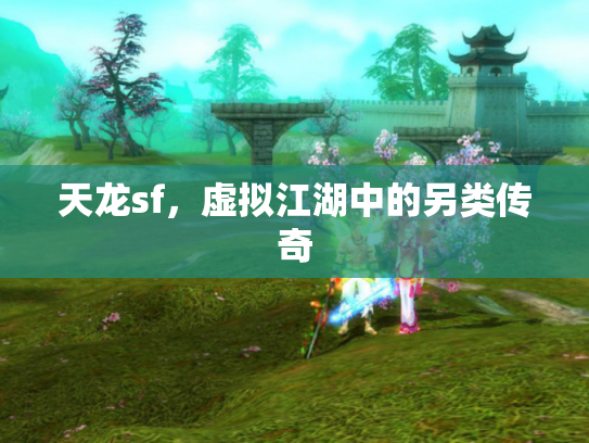 天龙sf，虚拟江湖中的另类传奇
