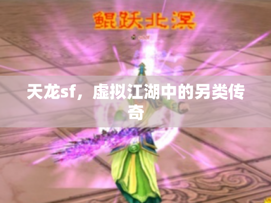 天龙sf，虚拟江湖中的另类传奇