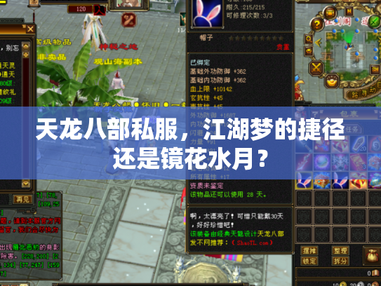 天龙八部私服，江湖梦的捷径还是镜花水月？