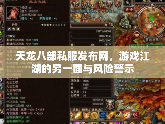 天龙八部私服发布网，游戏江湖的另一面与风险警示
