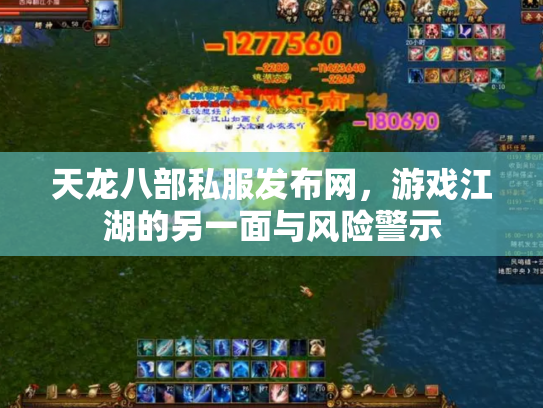 天龙八部私服发布网，游戏江湖的另一面与风险警示