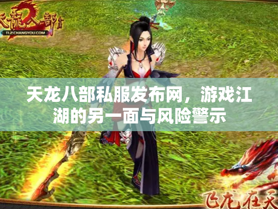 天龙八部私服发布网，游戏江湖的另一面与风险警示