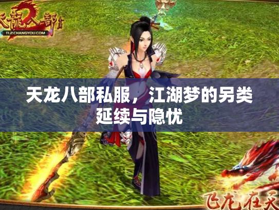 天龙八部私服，江湖梦的另类延续与隐忧