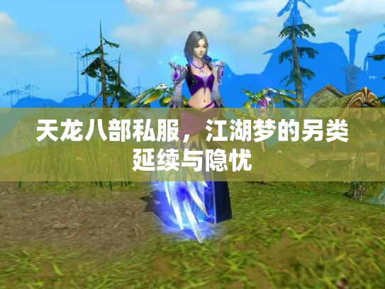 天龙八部私服，江湖梦的另类延续与隐忧