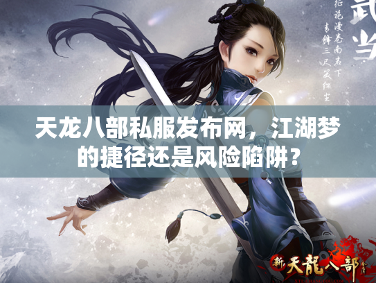 天龙八部私服发布网，江湖梦的捷径还是风险陷阱？