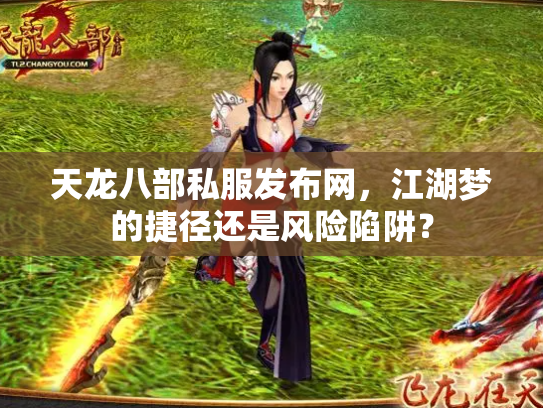 天龙八部私服发布网，江湖梦的捷径还是风险陷阱？