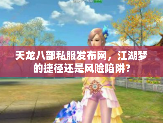 天龙八部私服发布网，江湖梦的捷径还是风险陷阱？