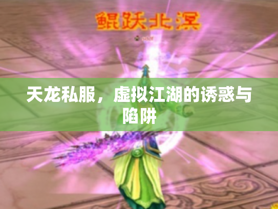 天龙私服，虚拟江湖的诱惑与陷阱