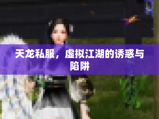 天龙私服，虚拟江湖的诱惑与陷阱