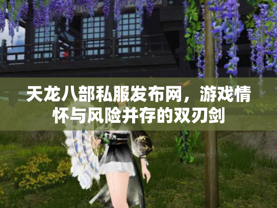 天龙八部私服发布网，游戏情怀与风险并存的双刃剑
