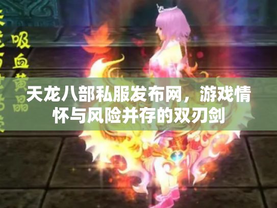 天龙八部私服发布网，游戏情怀与风险并存的双刃剑