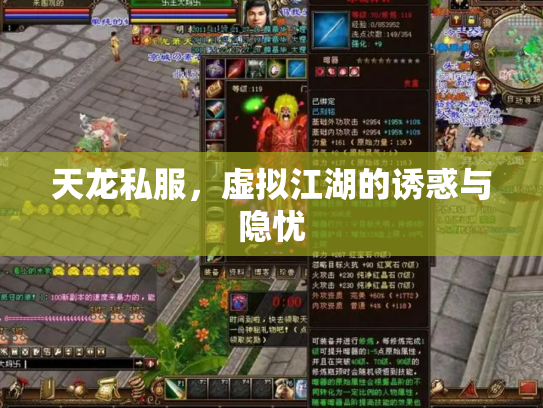 天龙私服，虚拟江湖的诱惑与隐忧