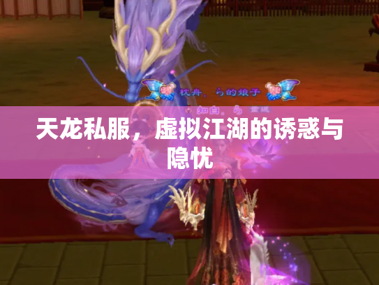 天龙私服，虚拟江湖的诱惑与隐忧