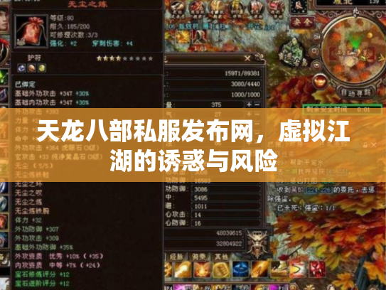 天龙八部私服发布网，虚拟江湖的诱惑与风险