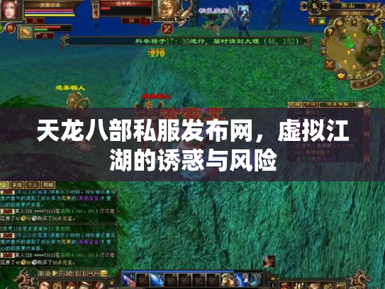 天龙八部私服发布网，虚拟江湖的诱惑与风险