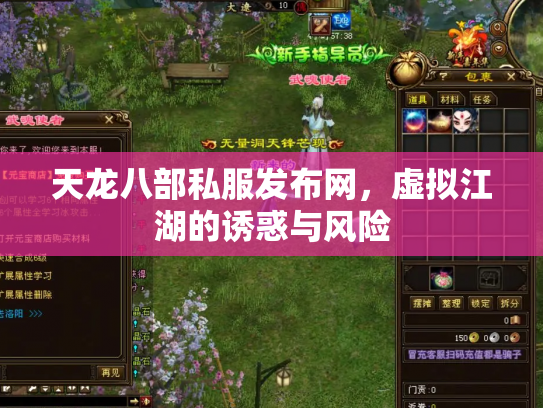 天龙八部私服发布网，虚拟江湖的诱惑与风险