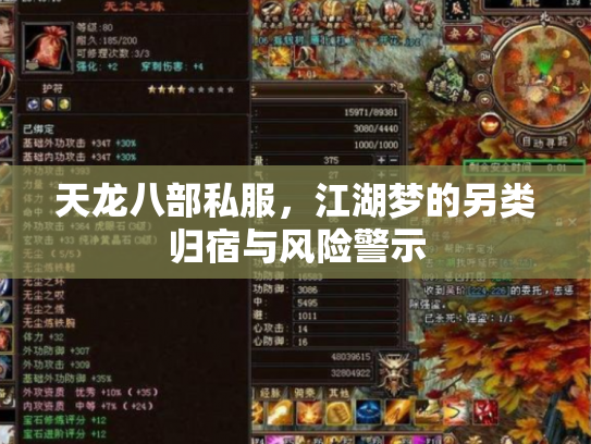 天龙八部私服，江湖梦的另类归宿与风险警示