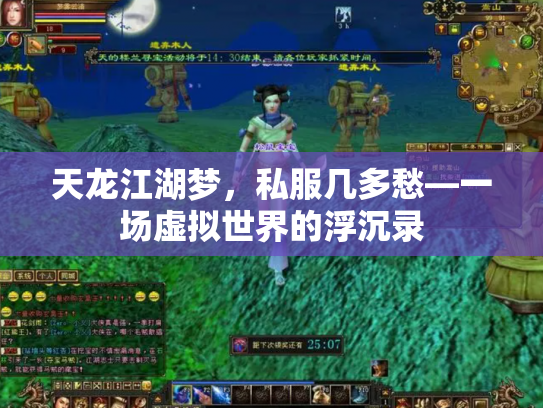 天龙江湖梦，私服几多愁—一场虚拟世界的浮沉录