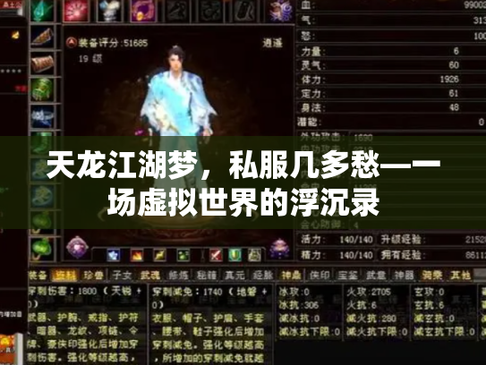 天龙江湖梦，私服几多愁—一场虚拟世界的浮沉录