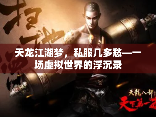 天龙江湖梦，私服几多愁—一场虚拟世界的浮沉录