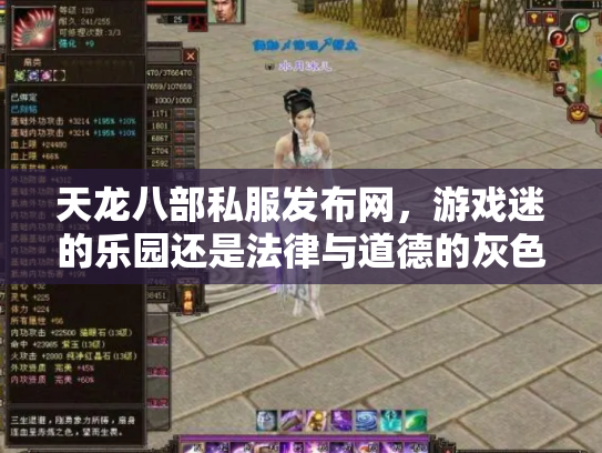 天龙八部私服发布网，游戏迷的乐园还是法律与道德的灰色地带？