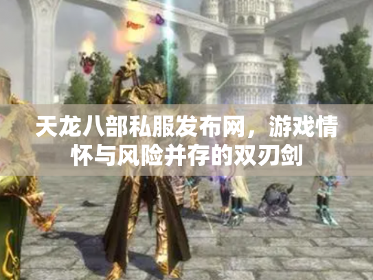 天龙八部私服发布网，游戏情怀与风险并存的双刃剑